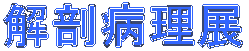 解剖病理展
